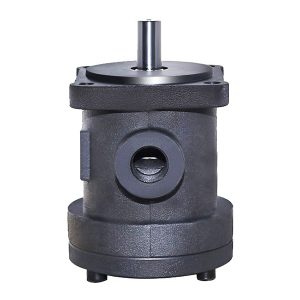 pompe cu palete cu deplasare fixă