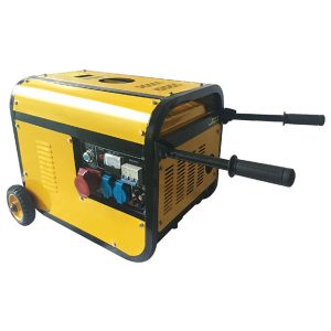 generator de gaz portabil